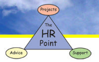Logo for The HR Point Nicky Gleadow